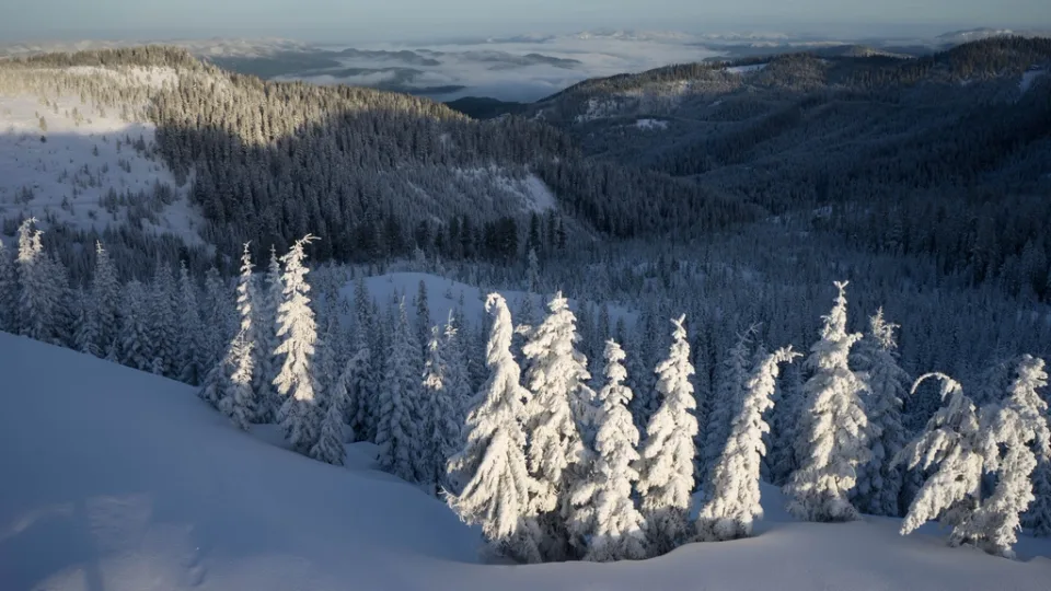 Winterliche Landschaft